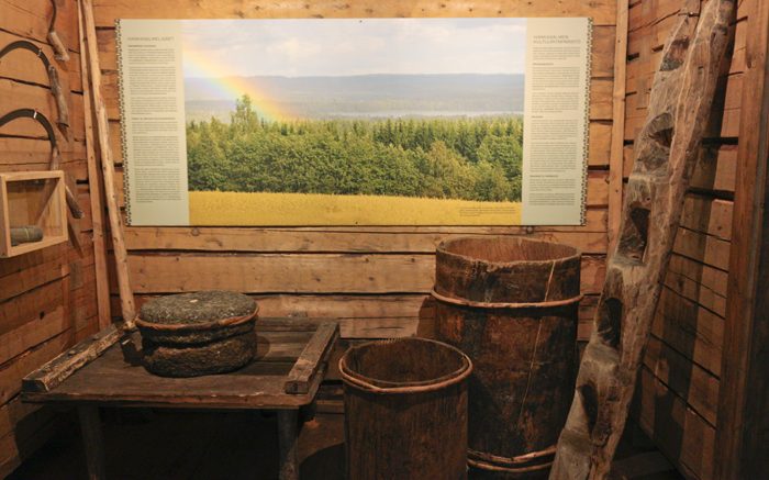 Esinemuseo 1