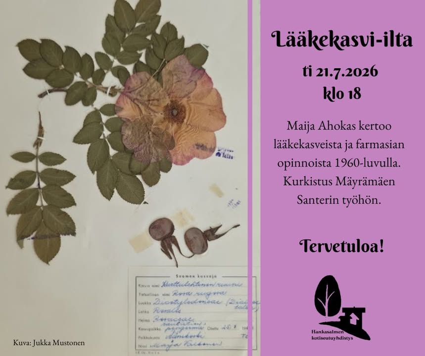 Hankasalmen Museokylä