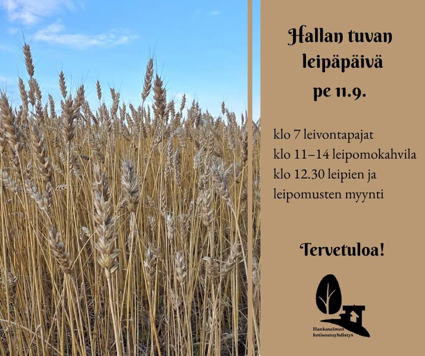 Hankasalmen Museokylä